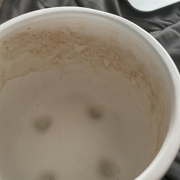 Plant pot - Picture 3 of 5